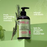 Shampoing Mielle romarin menthe 355ml2